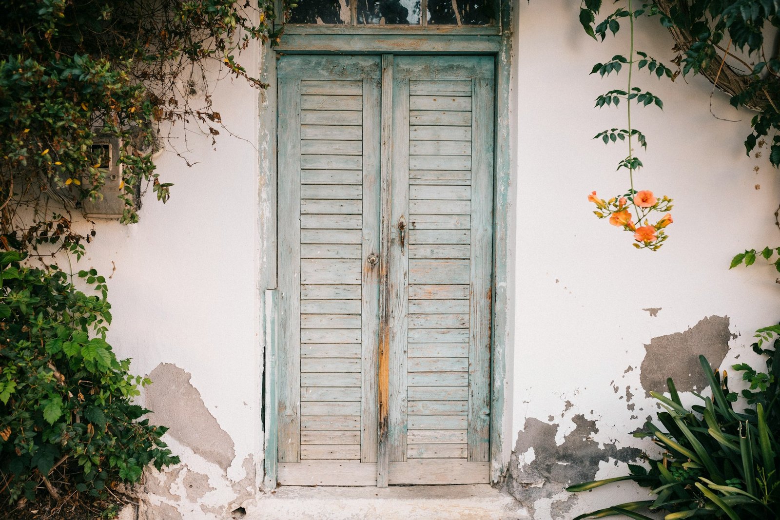 Alte Innentür in einem Wohnraum